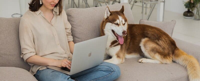 Pet Ownership Survey: Costs, Trends, & More